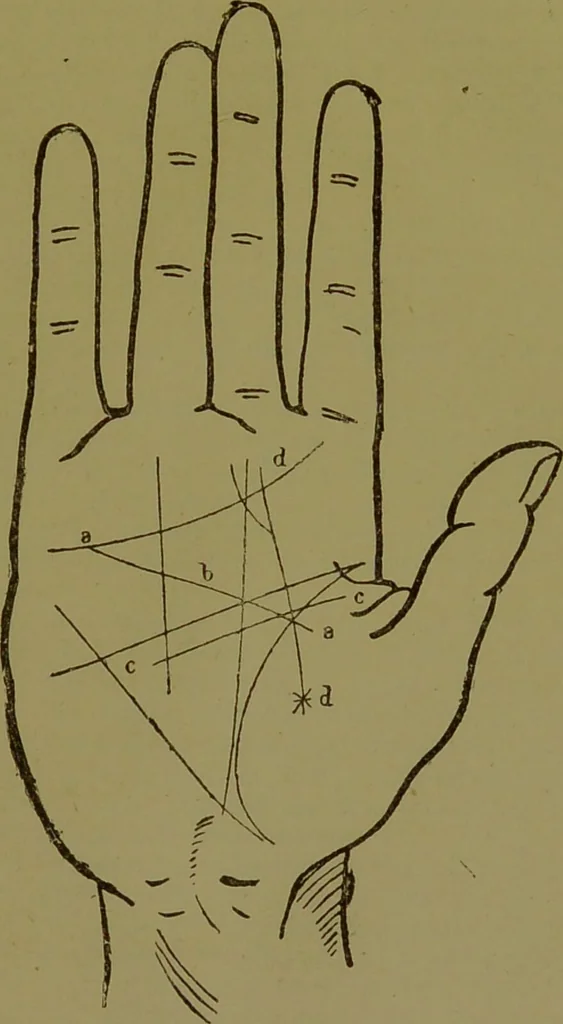 An illustration from A manual of cheirosophy : being a complete practical handbook of the twin sciences of cheirognomy and cheiromancy, by means whereof the past, the present, and the future may be read in the formations of the hands ; preceded by an introductory argument upon the science of cheirosophy and its claims to rank as a physical science / by Ed. Heron-Allen ... with full-page and other illustrations by Rosamund Brunel Horsley., 1892, leaf 303