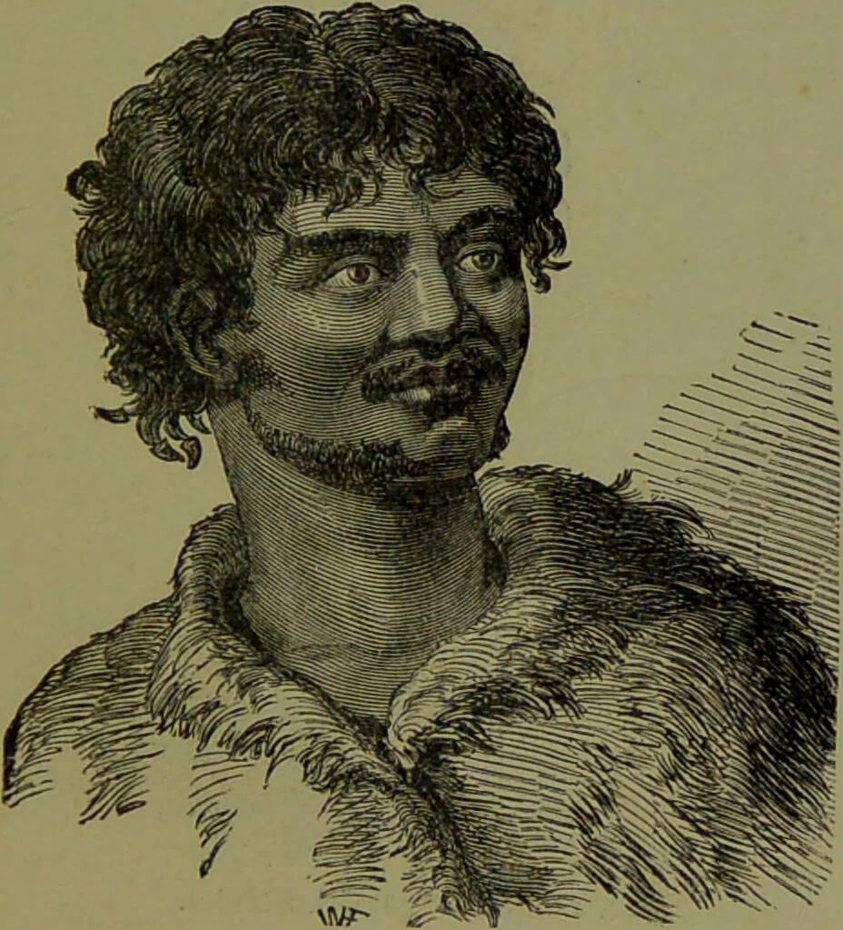 An illustration from Faces we meet, and, how to read them / by R.B.D. Wells., 1880, leaf 183