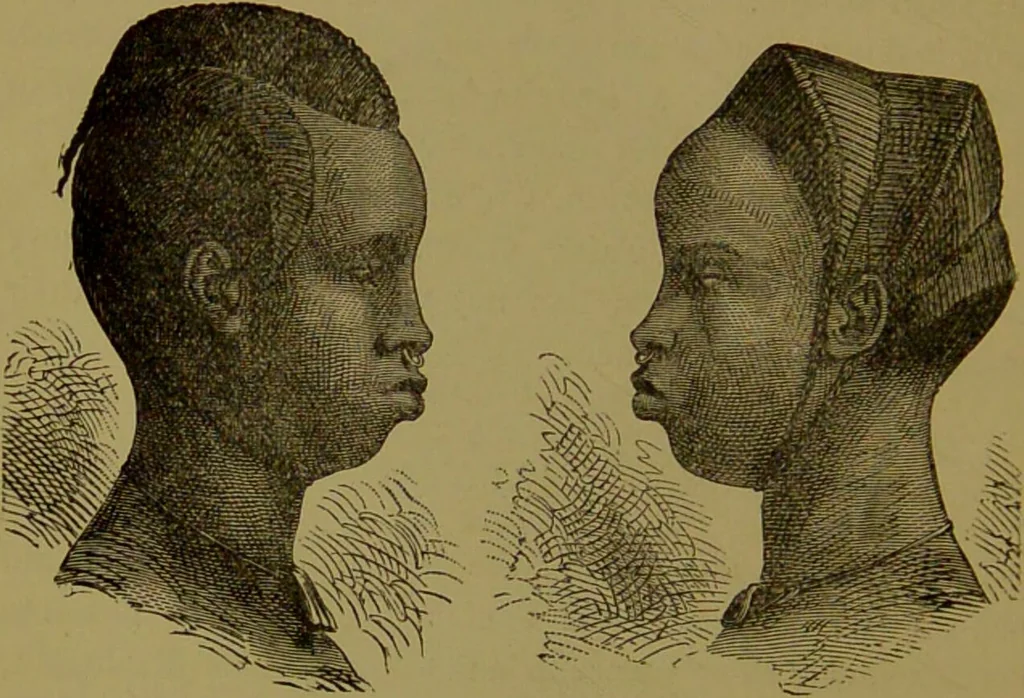 An illustration from Faces we meet, and, how to read them / by R.B.D. Wells., 1880, leaf 188