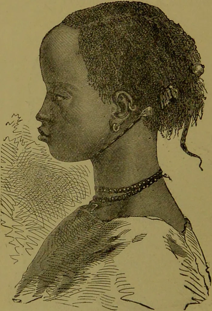 An illustration from Faces we meet, and, how to read them / by R.B.D. Wells., 1880, leaf 192