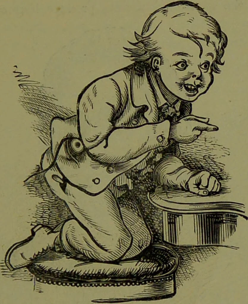 An illustration from Faces we meet, and, how to read them / by R.B.D. Wells., 1880, leaf 215