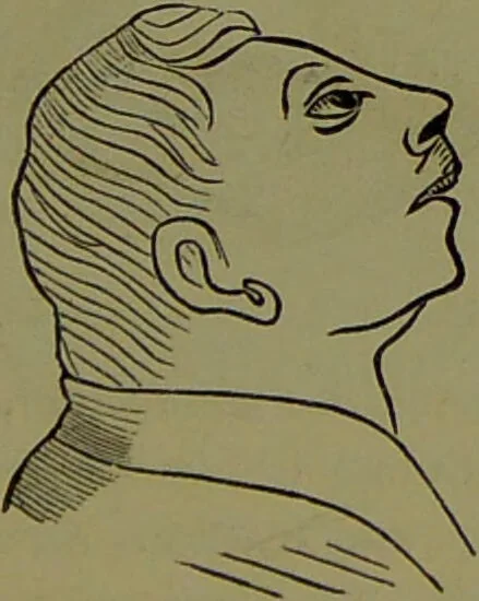 An illustration from Faces we meet, and, how to read them / by R.B.D. Wells., 1880, leaf 219