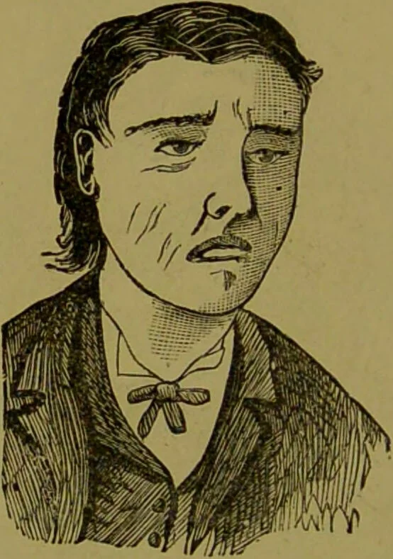 An illustration from Faces we meet, and, how to read them / by R.B.D. Wells., 1880, leaf 230