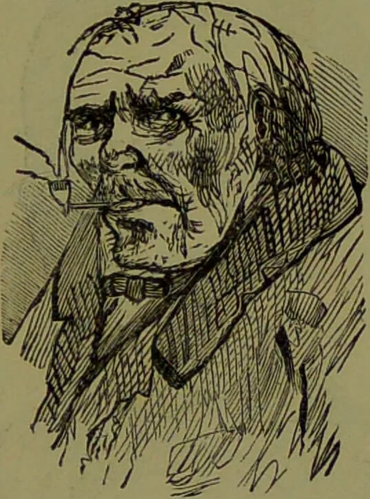 An illustration from Faces we meet, and, how to read them / by R.B.D. Wells., 1880, leaf 231