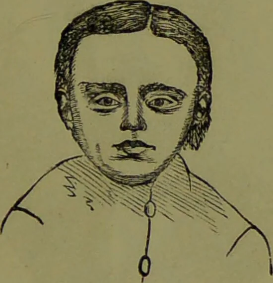 An illustration from Faces we meet, and, how to read them / by R.B.D. Wells., 1880, leaf 237