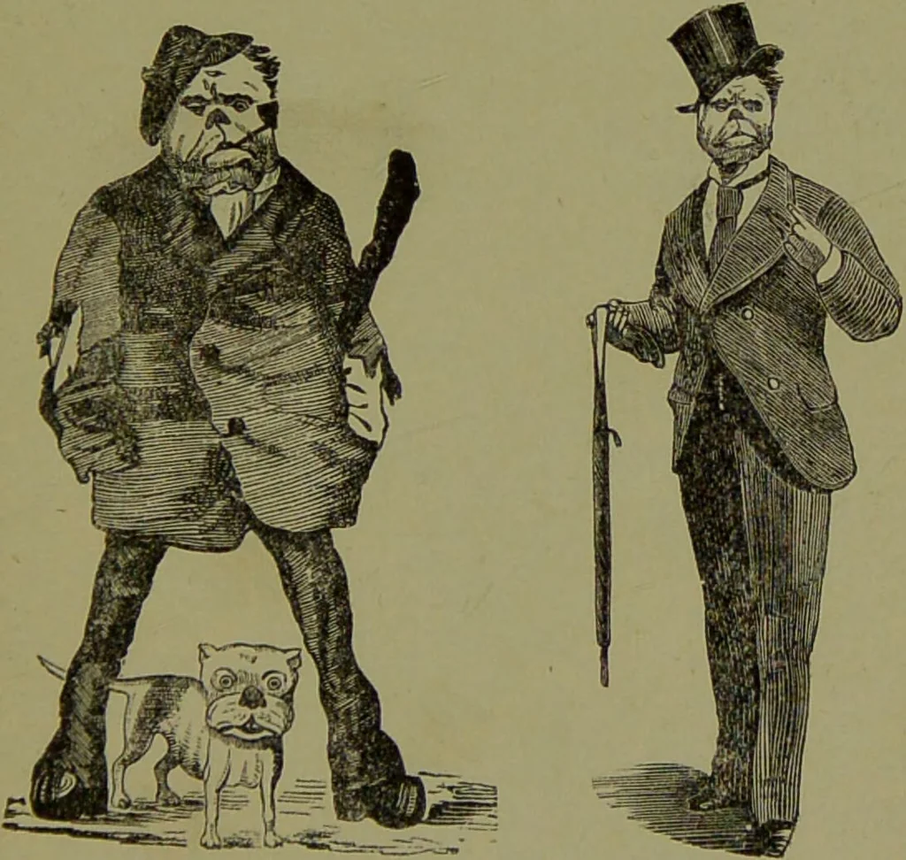An illustration from Faces we meet, and, how to read them / by R.B.D. Wells., 1880, leaf 31