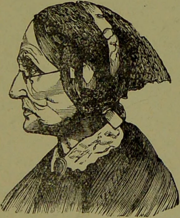 An illustration from Faces we meet, and, how to read them / by R.B.D. Wells., 1880, leaf 33