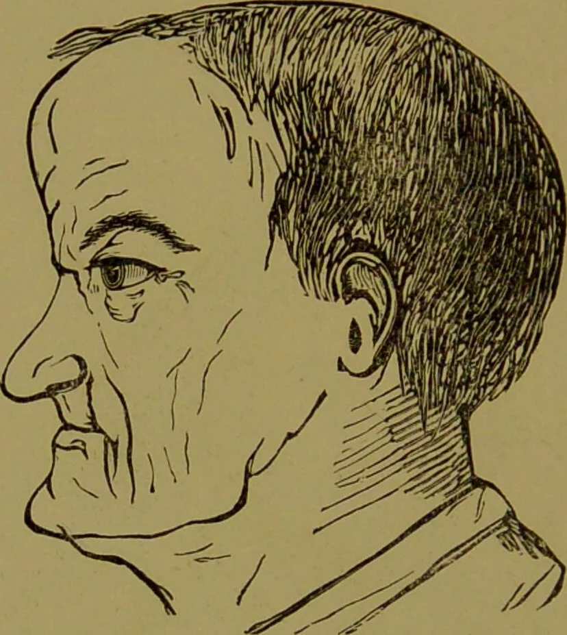 An illustration from Faces we meet, and, how to read them / by R.B.D. Wells., 1880, leaf 42