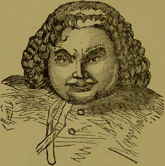 An illustration from Faces we meet, and, how to read them / by R.B.D. Wells., 1880, leaf 60