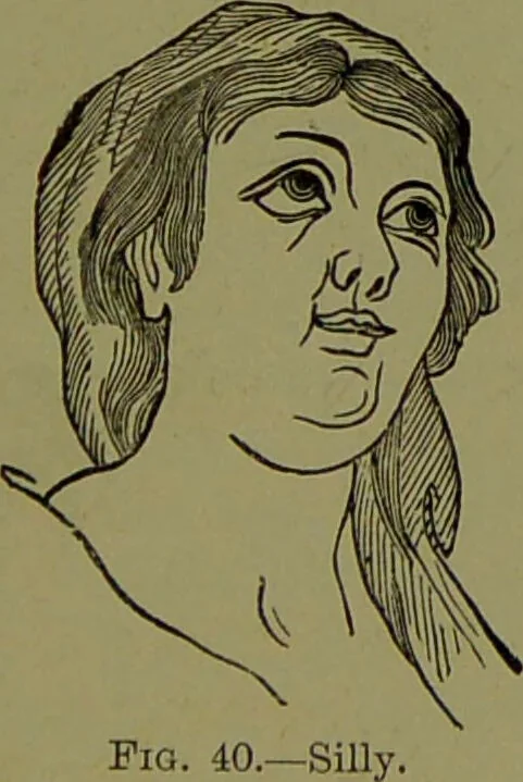 An illustration from Faces we meet, and, how to read them / by R.B.D. Wells., 1880, leaf 61