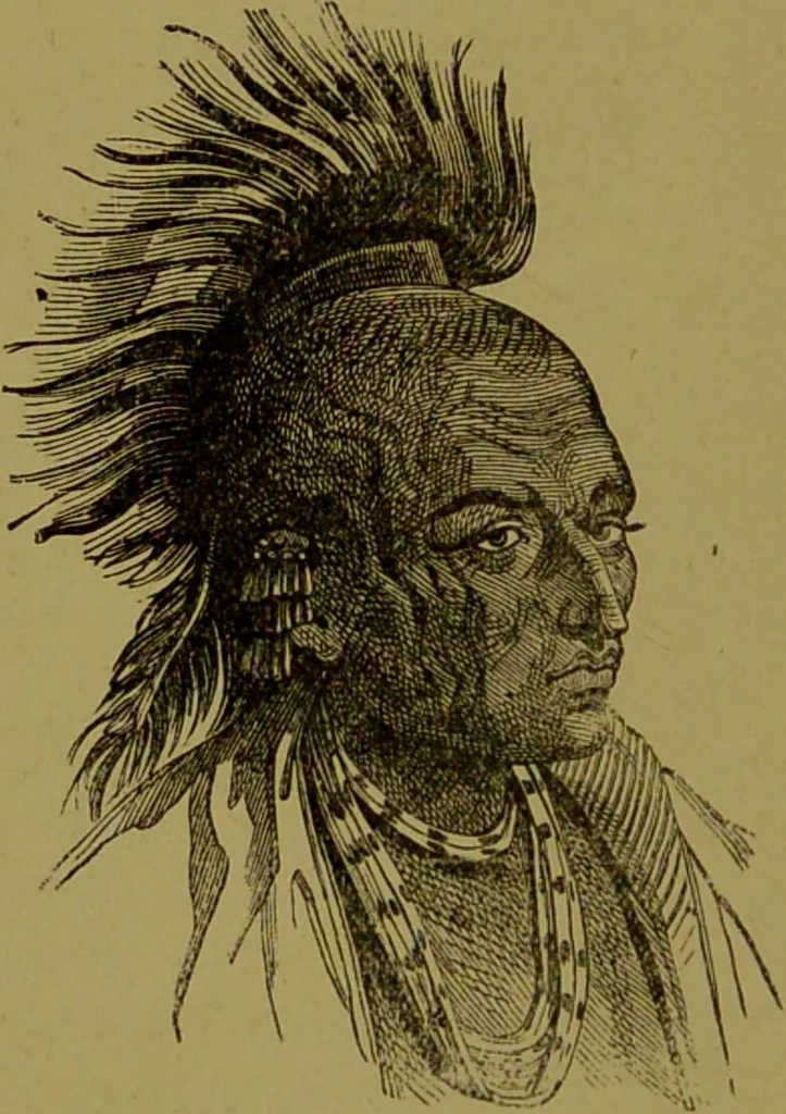 An illustration from Faces we meet, and, how to read them / by R.B.D. Wells., 1880, leaf 72