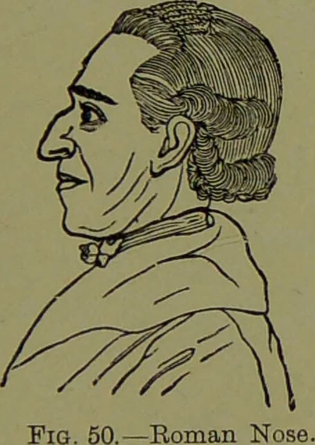 An illustration from Faces we meet, and, how to read them / by R.B.D. Wells., 1880, leaf 75