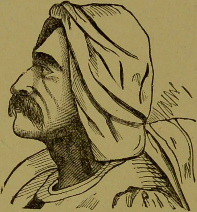 An illustration from Faces we meet, and, how to read them / by R.B.D. Wells., 1880, leaf 76
