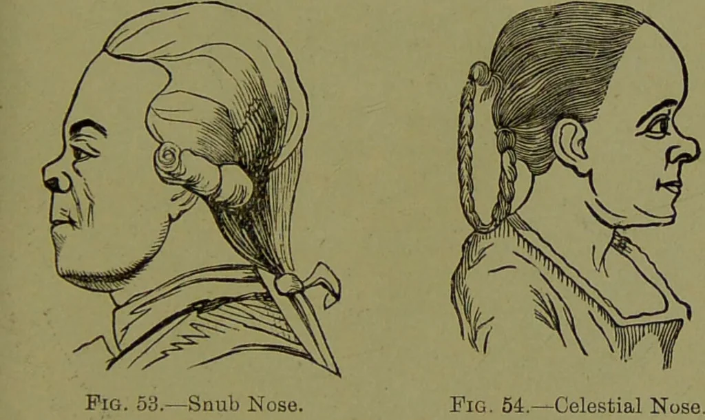 An illustration from Faces we meet, and, how to read them / by R.B.D. Wells., 1880, leaf 77