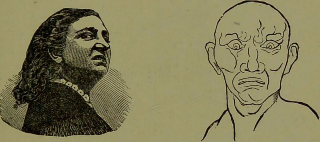An illustration from Faces we meet, and, how to read them / by R.B.D. Wells., 1880, leaf 87