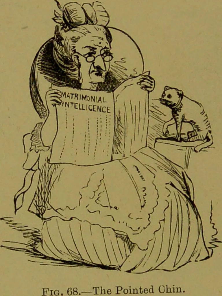 An illustration from Faces we meet, and, how to read them / by R.B.D. Wells., 1880, leaf 88