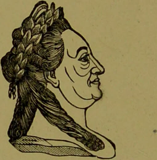 An illustration from Faces we meet, and, how to read them / by R.B.D. Wells., 1880, leaf 90