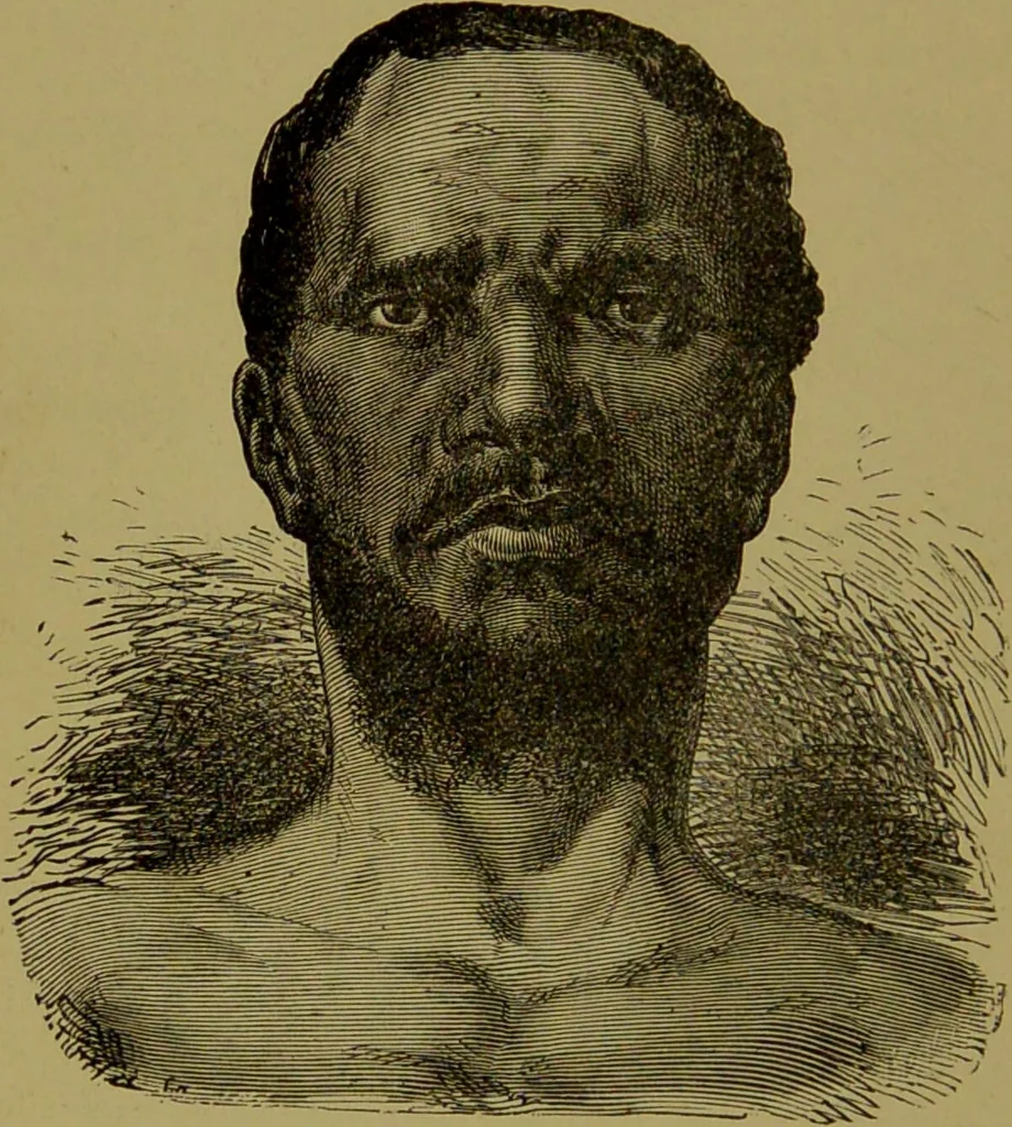 An illustration from Faces we meet, and, how to read them / by R.B.D. Wells., 1880, leaf 94