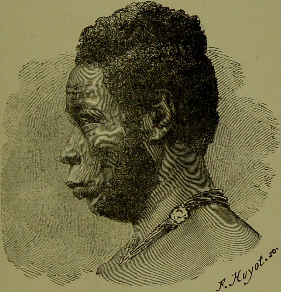 An illustration from Faces we meet, and, how to read them / by R.B.D. Wells., 1880, leaf 97