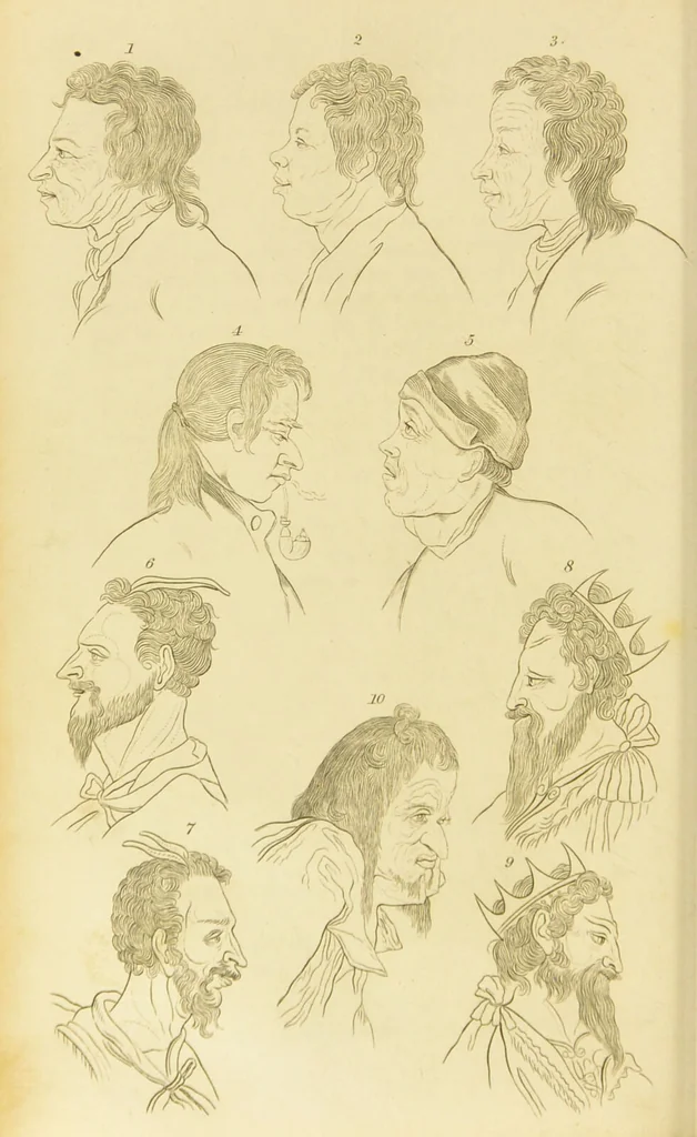 An illustration from Essays on physiognomy : designed to promote the knowledge and the love of mankind / written in the German language by John Caspar Lavater ; and translated into English by Thomas Holcroft ; to which are added one hundred physiognomonical rules, a posthumous work by Mr. Lavater and Memoirs of the life of the author., 1855, leaf 174