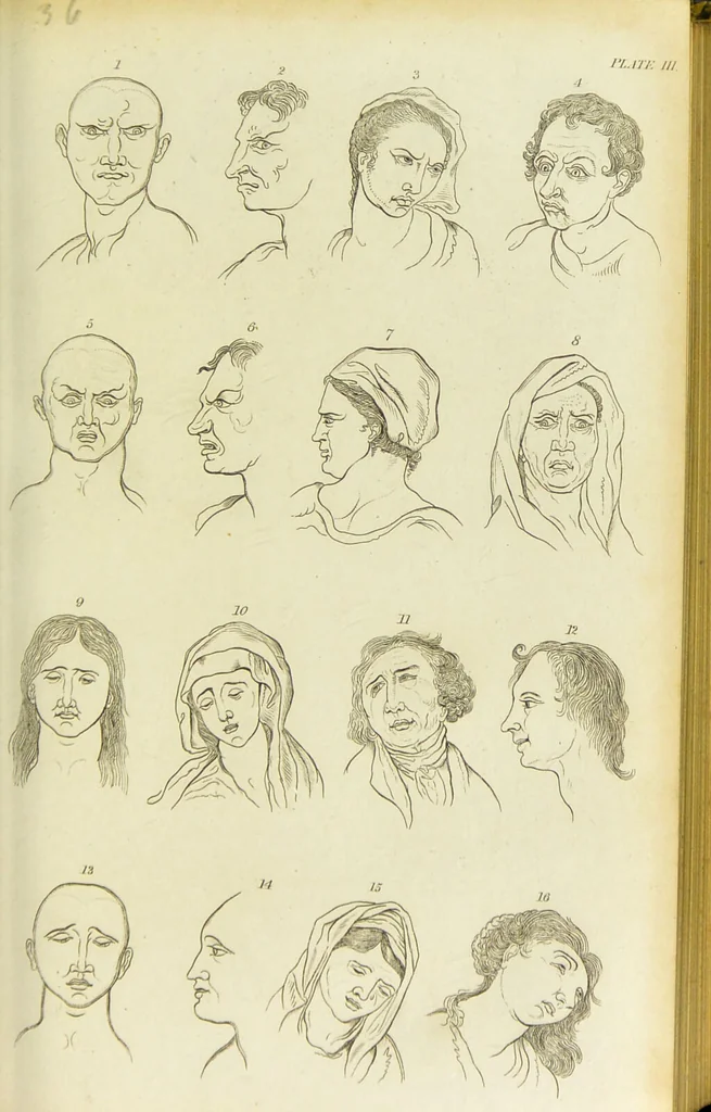An illustration from Essays on physiognomy : designed to promote the knowledge and the love of mankind / written in the German language by John Caspar Lavater ; and translated into English by Thomas Holcroft ; to which are added one hundred physiognomonical rules, a posthumous work by Mr. Lavater and Memoirs of the life of the author., 1855, leaf 177