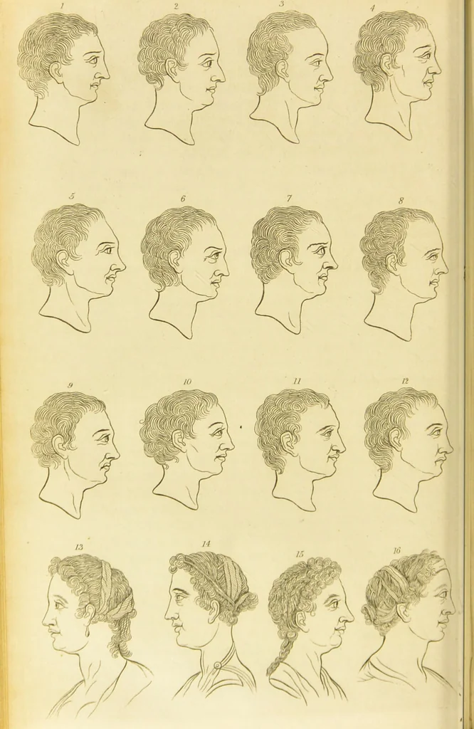 An illustration from Essays on physiognomy : designed to promote the knowledge and the love of mankind / written in the German language by John Caspar Lavater ; and translated into English by Thomas Holcroft ; to which are added one hundred physiognomonical rules, a posthumous work by Mr. Lavater and Memoirs of the life of the author., 1855, leaf 208