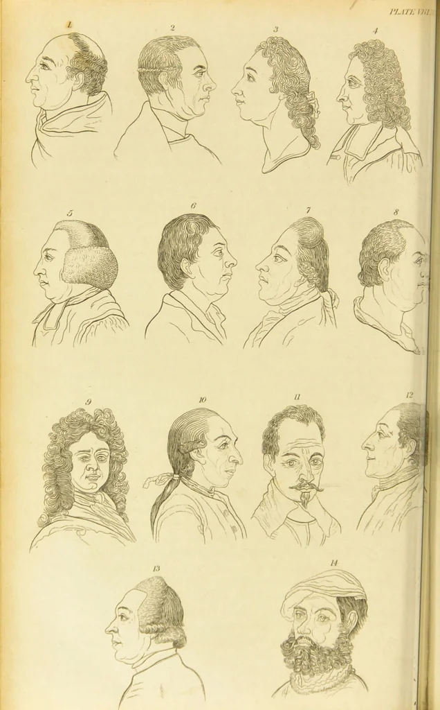 An illustration from Essays on physiognomy : designed to promote the knowledge and the love of mankind / written in the German language by John Caspar Lavater ; and translated into English by Thomas Holcroft ; to which are added one hundred physiognomonical rules, a posthumous work by Mr. Lavater and Memoirs of the life of the author., 1855, leaf 244