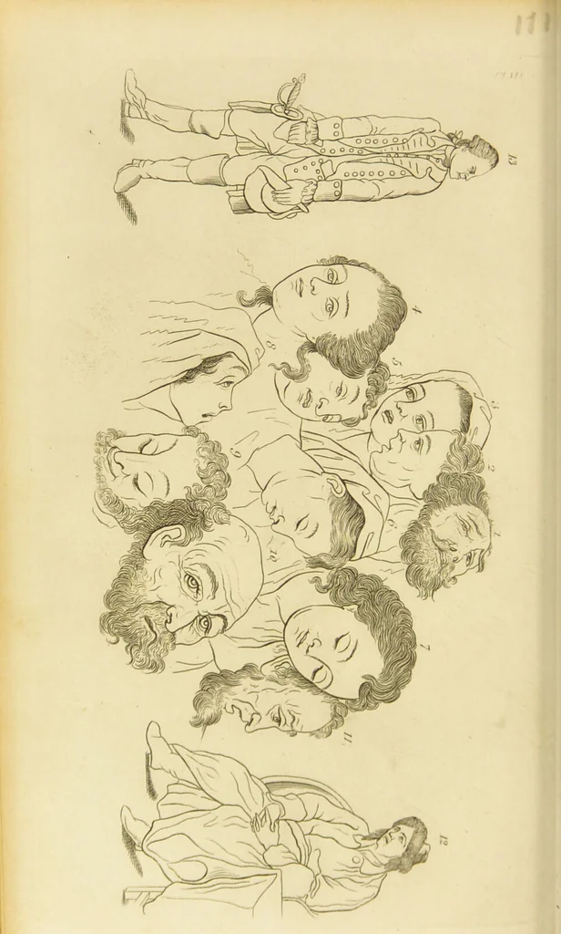 An illustration from Essays on physiognomy : designed to promote the knowledge and the love of mankind / written in the German language by John Caspar Lavater ; and translated into English by Thomas Holcroft ; to which are added one hundred physiognomonical rules, a posthumous work by Mr. Lavater and Memoirs of the life of the author., 1855, leaf 268