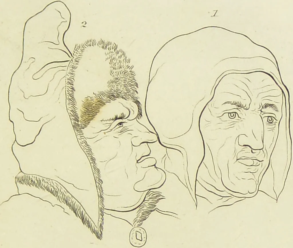 An illustration from Essays on physiognomy : designed to promote the knowledge and the love of mankind / written in the German language by John Caspar Lavater ; and translated into English by Thomas Holcroft ; to which are added one hundred physiognomonical rules, a posthumous work by Mr. Lavater and Memoirs of the life of the author., 1855, leaf 273