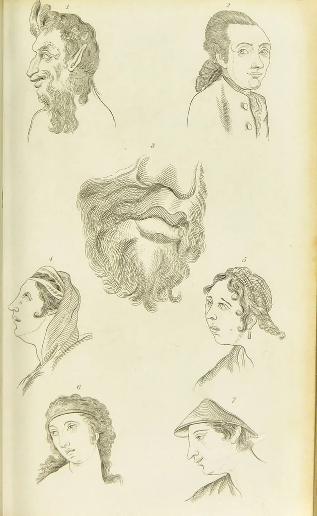 An illustration from Essays on physiognomy : designed to promote the knowledge and the love of mankind / written in the German language by John Caspar Lavater ; and translated into English by Thomas Holcroft ; to which are added one hundred physiognomonical rules, a posthumous work by Mr. Lavater and Memoirs of the life of the author., 1855, leaf 275