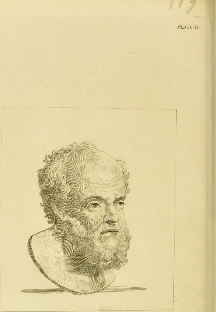 An illustration from Essays on physiognomy : designed to promote the knowledge and the love of mankind / written in the German language by John Caspar Lavater ; and translated into English by Thomas Holcroft ; to which are added one hundred physiognomonical rules, a posthumous work by Mr. Lavater and Memoirs of the life of the author., 1855, leaf 282