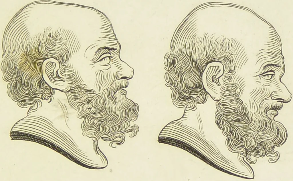 An illustration from Essays on physiognomy : designed to promote the knowledge and the love of mankind / written in the German language by John Caspar Lavater ; and translated into English by Thomas Holcroft ; to which are added one hundred physiognomonical rules, a posthumous work by Mr. Lavater and Memoirs of the life of the author., 1855, leaf 291