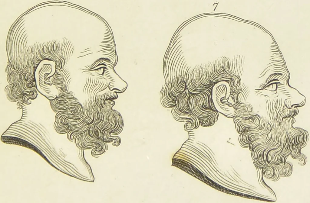 An illustration from Essays on physiognomy : designed to promote the knowledge and the love of mankind / written in the German language by John Caspar Lavater ; and translated into English by Thomas Holcroft ; to which are added one hundred physiognomonical rules, a posthumous work by Mr. Lavater and Memoirs of the life of the author., 1855, leaf 291