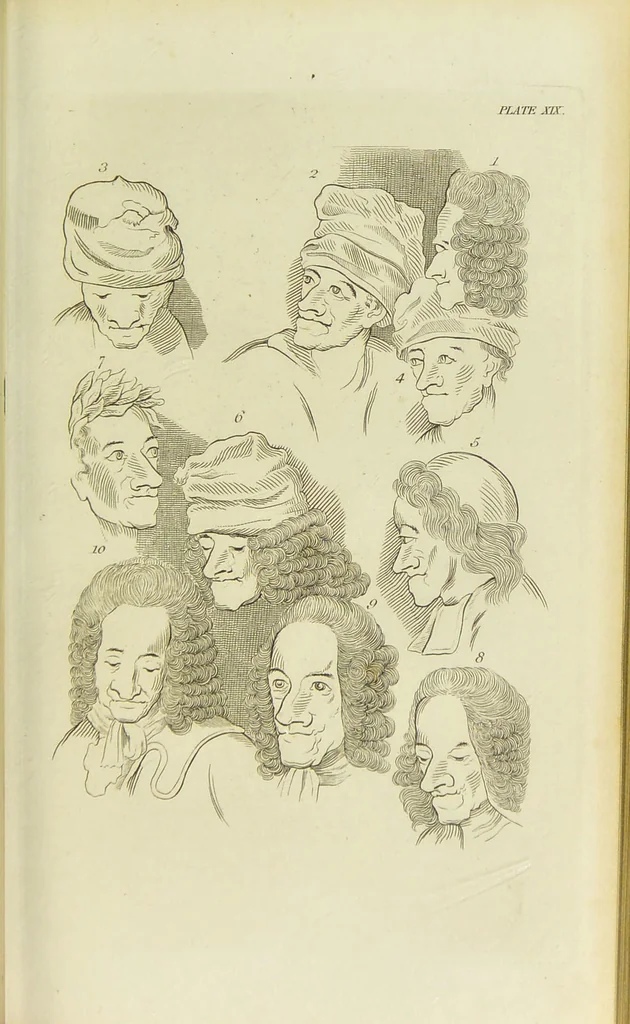 An illustration from Essays on physiognomy : designed to promote the knowledge and the love of mankind / written in the German language by John Caspar Lavater ; and translated into English by Thomas Holcroft ; to which are added one hundred physiognomonical rules, a posthumous work by Mr. Lavater and Memoirs of the life of the author., 1855, leaf 295