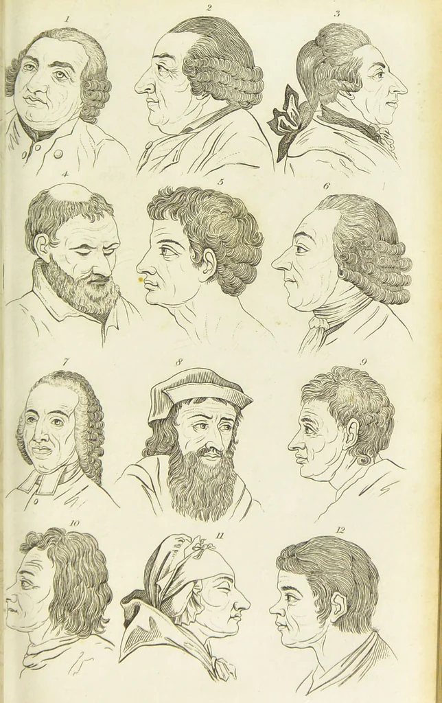 An illustration from Essays on physiognomy : designed to promote the knowledge and the love of mankind / written in the German language by John Caspar Lavater ; and translated into English by Thomas Holcroft ; to which are added one hundred physiognomonical rules, a posthumous work by Mr. Lavater and Memoirs of the life of the author., 1855, leaf 299