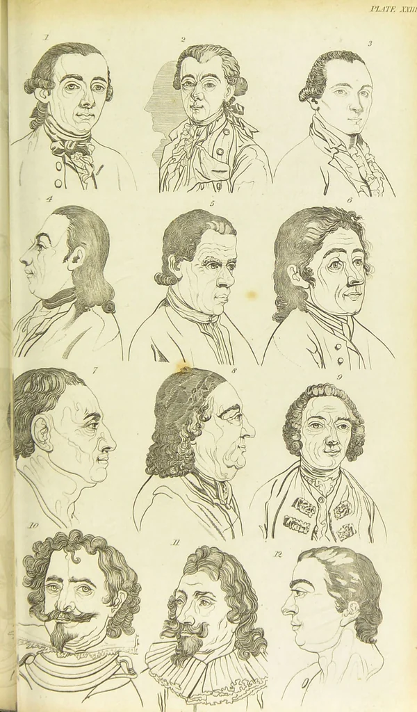 An illustration from Essays on physiognomy : designed to promote the knowledge and the love of mankind / written in the German language by John Caspar Lavater ; and translated into English by Thomas Holcroft ; to which are added one hundred physiognomonical rules, a posthumous work by Mr. Lavater and Memoirs of the life of the author., 1855, leaf 355