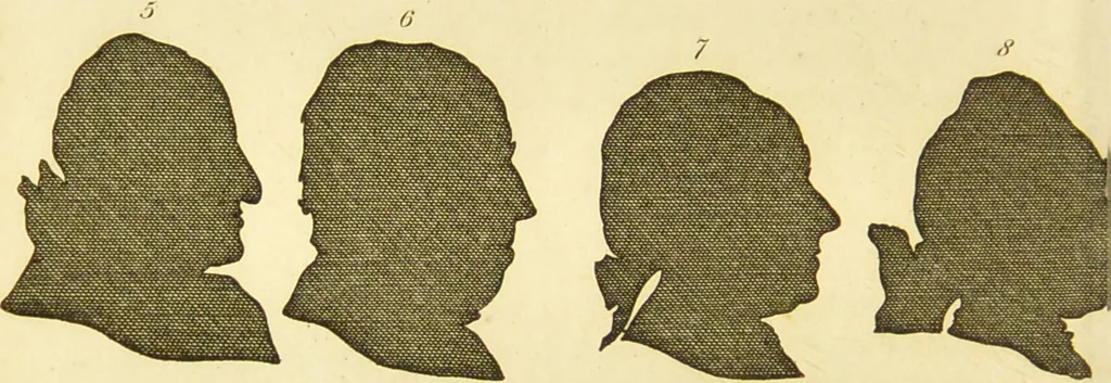 An illustration from Essays on physiognomy : designed to promote the knowledge and the love of mankind / written in the German language by John Caspar Lavater ; and translated into English by Thomas Holcroft ; to which are added one hundred physiognomonical rules, a posthumous work by Mr. Lavater and Memoirs of the life of the author., 1855, leaf 380