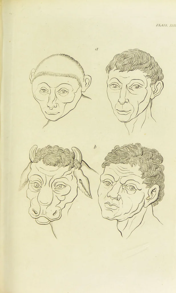 An illustration from Essays on physiognomy : designed to promote the knowledge and the love of mankind / written in the German language by John Caspar Lavater ; and translated into English by Thomas Holcroft ; to which are added one hundred physiognomonical rules, a posthumous work by Mr. Lavater and Memoirs of the life of the author., 1855, leaf 399