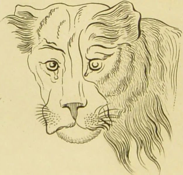 An illustration from Essays on physiognomy : designed to promote the knowledge and the love of mankind / written in the German language by John Caspar Lavater ; and translated into English by Thomas Holcroft ; to which are added one hundred physiognomonical rules, a posthumous work by Mr. Lavater and Memoirs of the life of the author., 1855, leaf 416