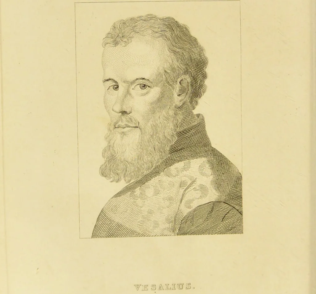 An illustration from Essays on physiognomy : designed to promote the knowledge and the love of mankind / written in the German language by John Caspar Lavater ; and translated into English by Thomas Holcroft ; to which are added one hundred physiognomonical rules, a posthumous work by Mr. Lavater and Memoirs of the life of the author., 1855, leaf 460