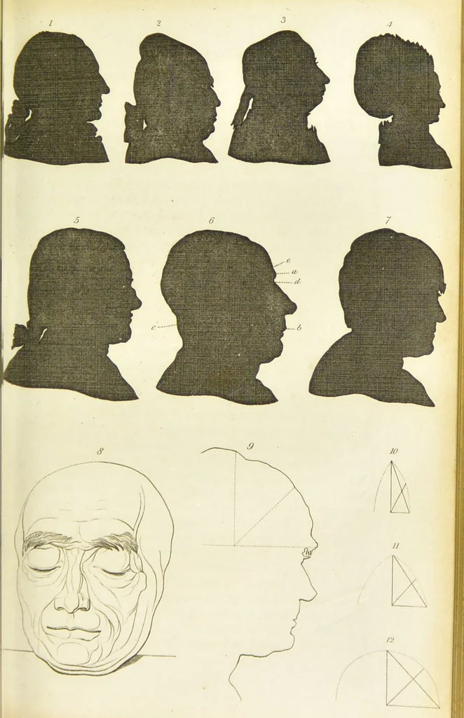 An illustration from Essays on physiognomy : designed to promote the knowledge and the love of mankind / written in the German language by John Caspar Lavater ; and translated into English by Thomas Holcroft ; to which are added one hundred physiognomonical rules, a posthumous work by Mr. Lavater and Memoirs of the life of the author., 1855, leaf 503