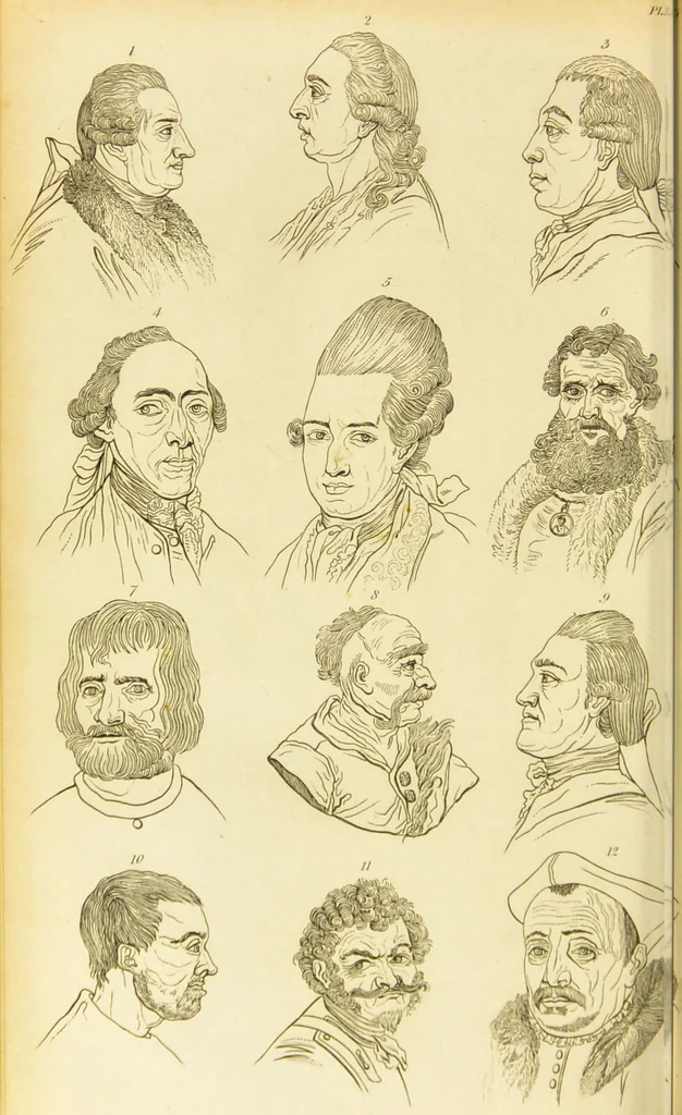 An illustration from Essays on physiognomy : designed to promote the knowledge and the love of mankind / written in the German language by John Caspar Lavater ; and translated into English by Thomas Holcroft ; to which are added one hundred physiognomonical rules, a posthumous work by Mr. Lavater and Memoirs of the life of the author., 1855, leaf 654