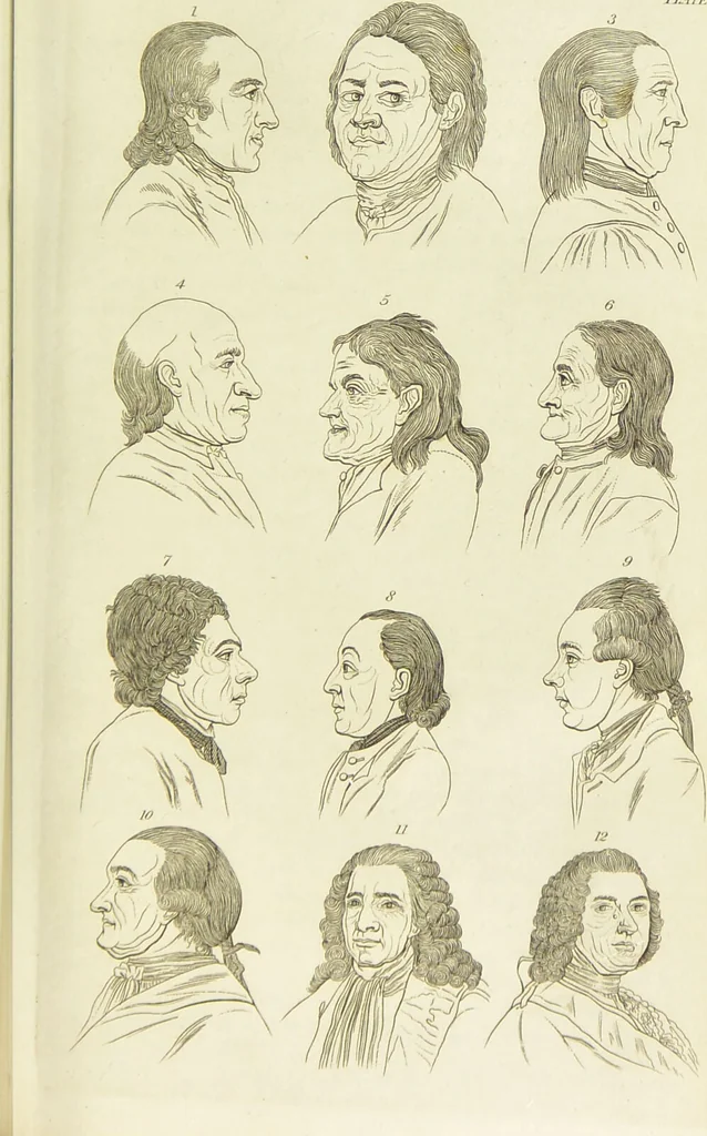 An illustration from Essays on physiognomy : designed to promote the knowledge and the love of mankind / written in the German language by John Caspar Lavater ; and translated into English by Thomas Holcroft ; to which are added one hundred physiognomonical rules, a posthumous work by Mr. Lavater and Memoirs of the life of the author., 1855, leaf 659