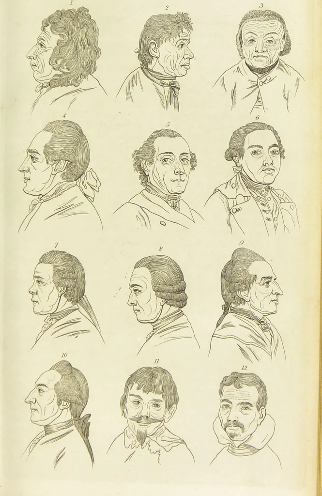 An illustration from Essays on physiognomy : designed to promote the knowledge and the love of mankind / written in the German language by John Caspar Lavater ; and translated into English by Thomas Holcroft ; to which are added one hundred physiognomonical rules, a posthumous work by Mr. Lavater and Memoirs of the life of the author., 1855, leaf 663