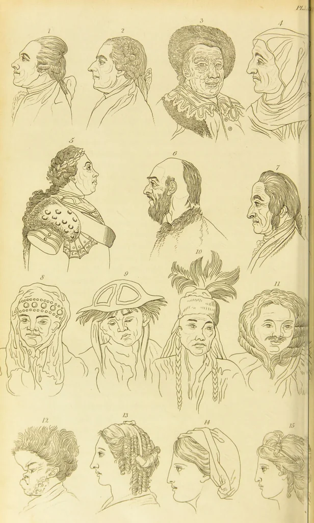 An illustration from Essays on physiognomy : designed to promote the knowledge and the love of mankind / written in the German language by John Caspar Lavater ; and translated into English by Thomas Holcroft ; to which are added one hundred physiognomonical rules, a posthumous work by Mr. Lavater and Memoirs of the life of the author., 1855, leaf 668