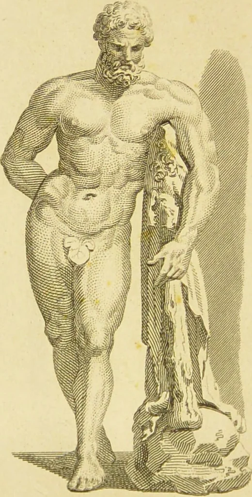 An illustration from Essays on physiognomy : designed to promote the knowledge and the love of mankind / written in the German language by John Caspar Lavater ; and translated into English by Thomas Holcroft ; to which are added one hundred physiognomonical rules, a posthumous work by Mr. Lavater and Memoirs of the life of the author., 1855, leaf 678