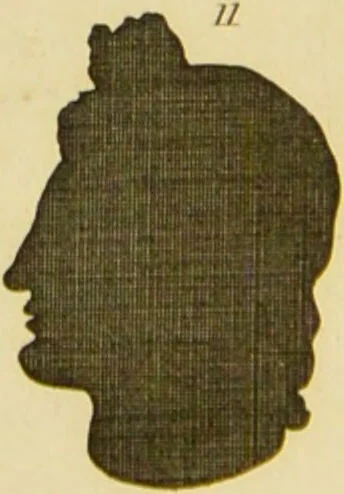 An illustration from Essays on physiognomy : designed to promote the knowledge and the love of mankind / written in the German language by John Caspar Lavater ; and translated into English by Thomas Holcroft ; to which are added one hundred physiognomonical rules, a posthumous work by Mr. Lavater and Memoirs of the life of the author., 1855, leaf 686