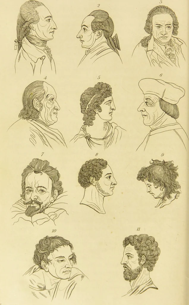 An illustration from Essays on physiognomy : designed to promote the knowledge and the love of mankind / written in the German language by John Caspar Lavater ; and translated into English by Thomas Holcroft ; to which are added one hundred physiognomonical rules, a posthumous work by Mr. Lavater and Memoirs of the life of the author., 1855, leaf 696