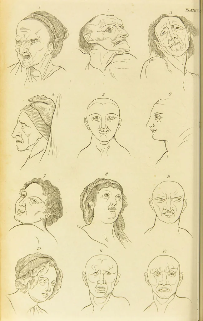 An illustration from Essays on physiognomy : designed to promote the knowledge and the love of mankind / written in the German language by John Caspar Lavater ; and translated into English by Thomas Holcroft ; to which are added one hundred physiognomonical rules, a posthumous work by Mr. Lavater and Memoirs of the life of the author., 1855, leaf 702