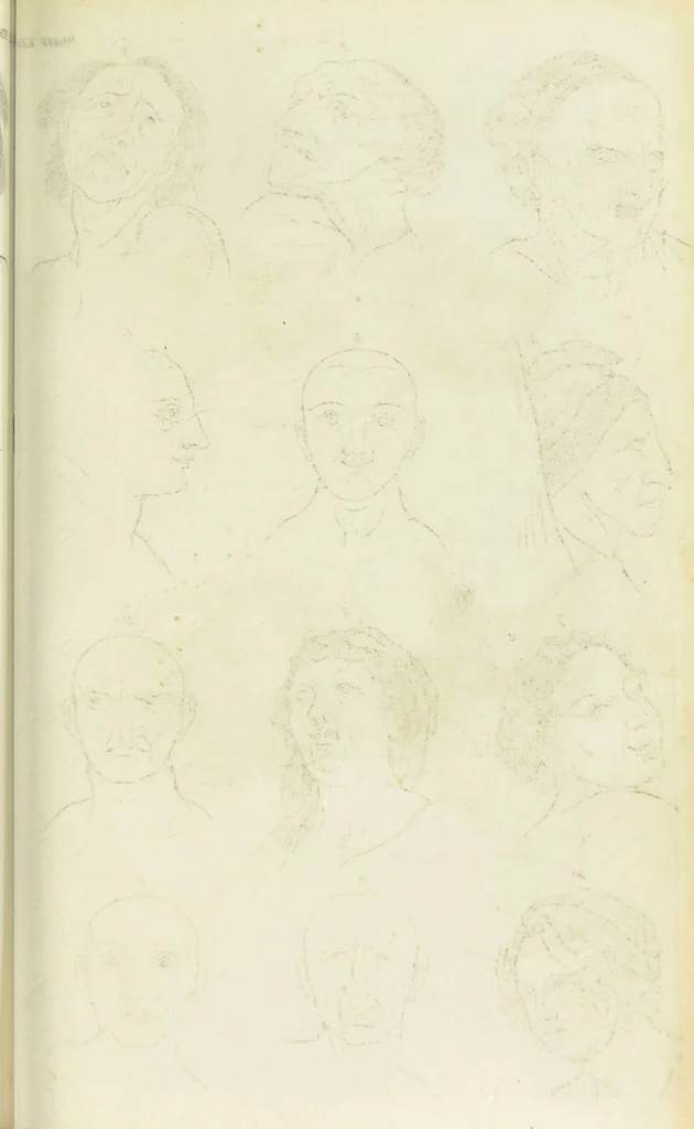 An illustration from Essays on physiognomy : designed to promote the knowledge and the love of mankind / written in the German language by John Caspar Lavater ; and translated into English by Thomas Holcroft ; to which are added one hundred physiognomonical rules, a posthumous work by Mr. Lavater and Memoirs of the life of the author., 1855, leaf 703